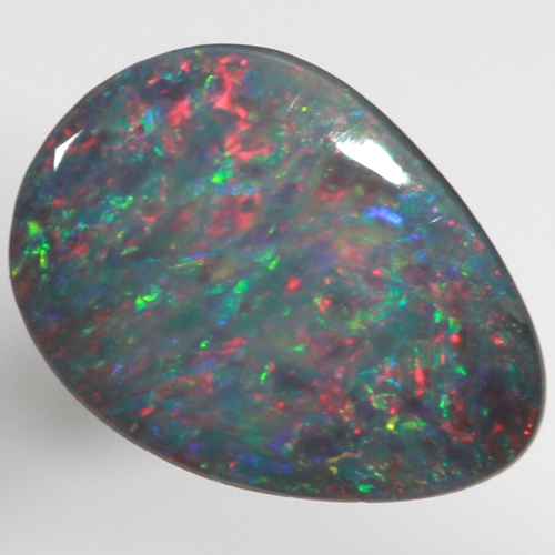 SOLID BLACK OPAL Red multicolour, Floral Harlequin pattern